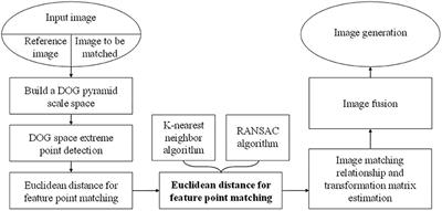 Improved Feature Point Pair Purification Algorithm Based on SIFT During Endoscope Image Stitching